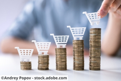 Revenu et pouvoir d'achat des ménages en 2024